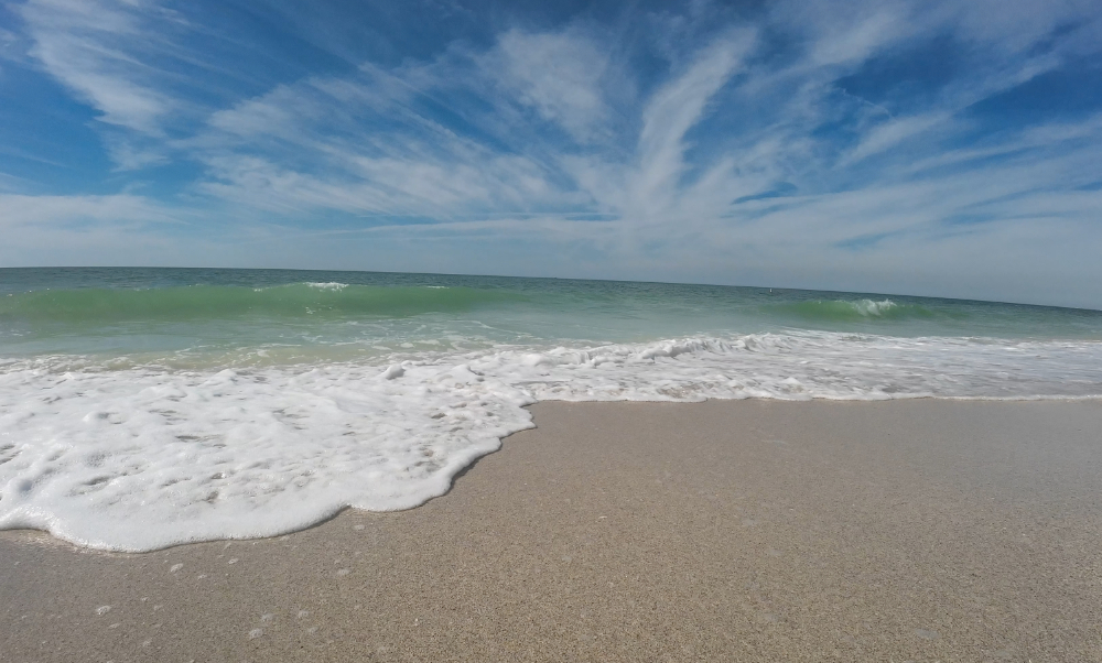 Exploring the Latest Buzz: Nokomis Beach, Florida